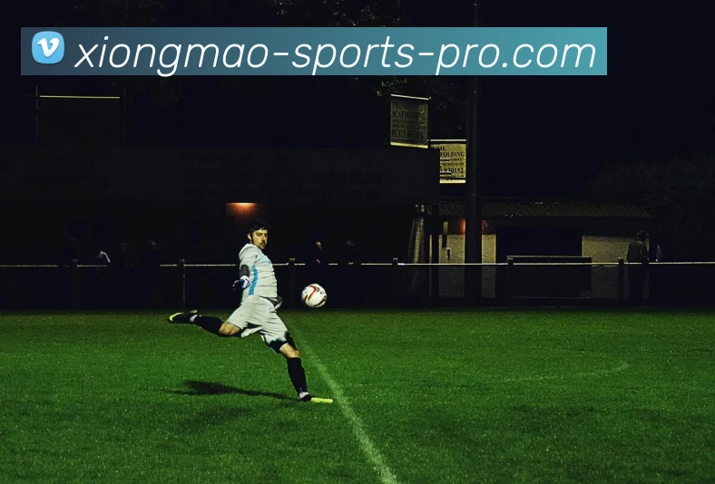 熊猫体育专业版平台生态图