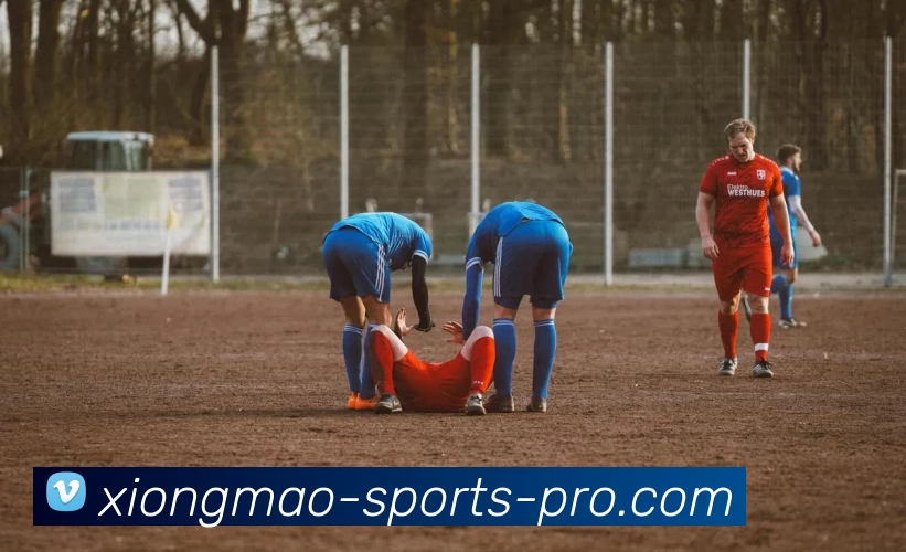 熊猫体育专业版全站App